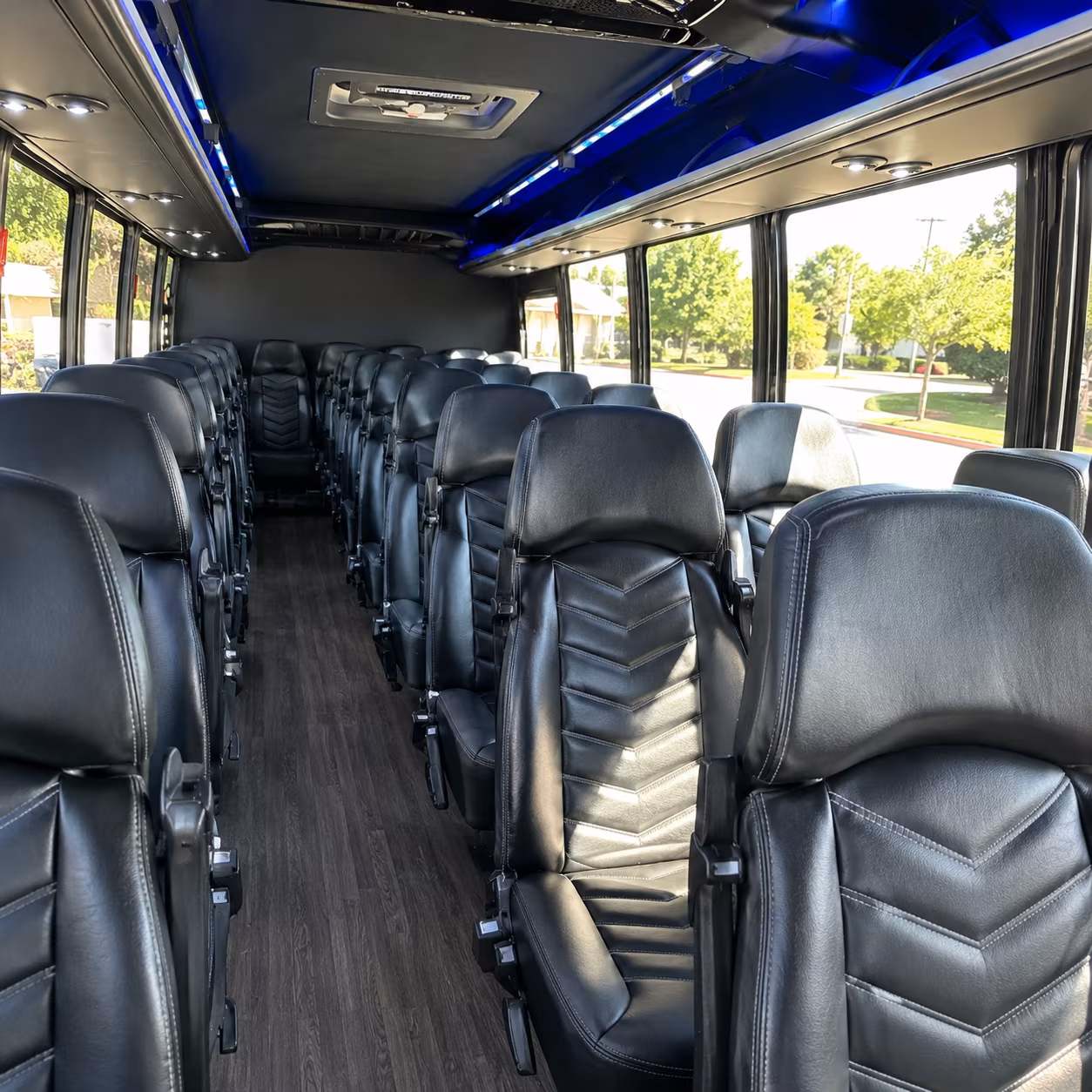 birthday party bus wine tours in and around coon rapids