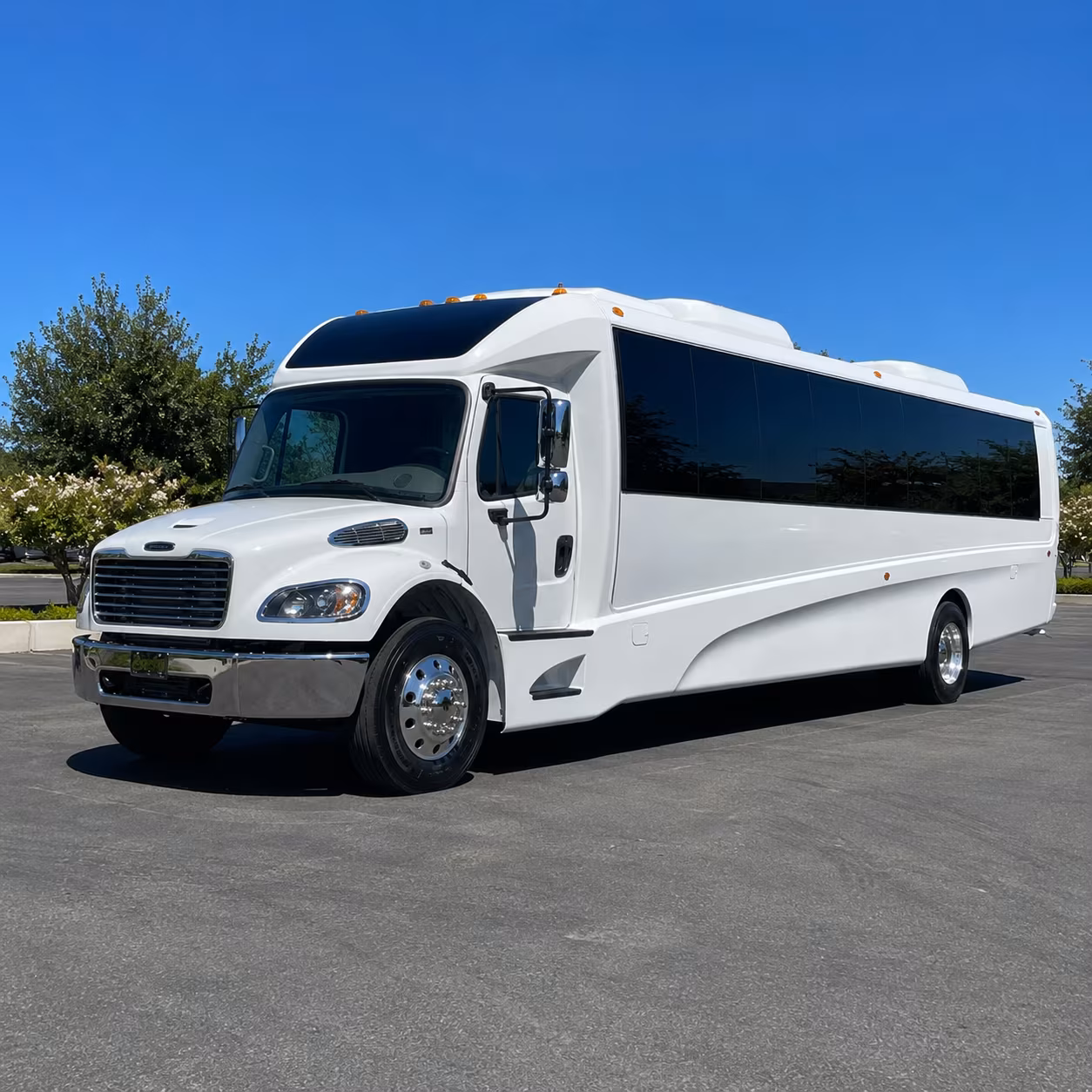 coon rapids 15 passenger minibus