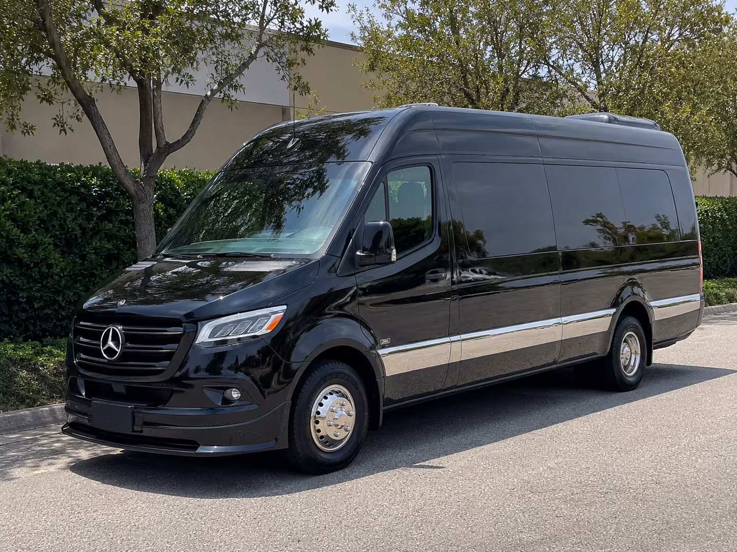 coon rapids sprinter van with driver